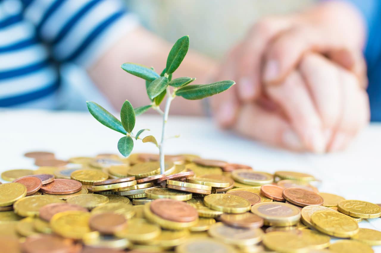 Wealth Stewardship concept showing a young plant growing from coins symbolizing long-term financial responsibility and sustainable wealth management.